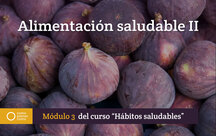 Módulo 3