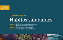 Curso completo Hábitos saludables